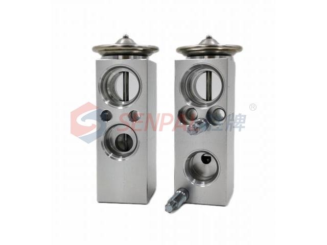 Expansion Valve:246 830 00 84