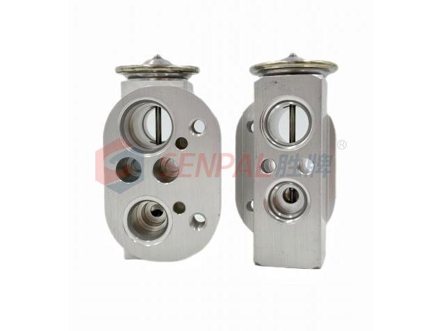 Expansion Valve:64 11 9 289 832