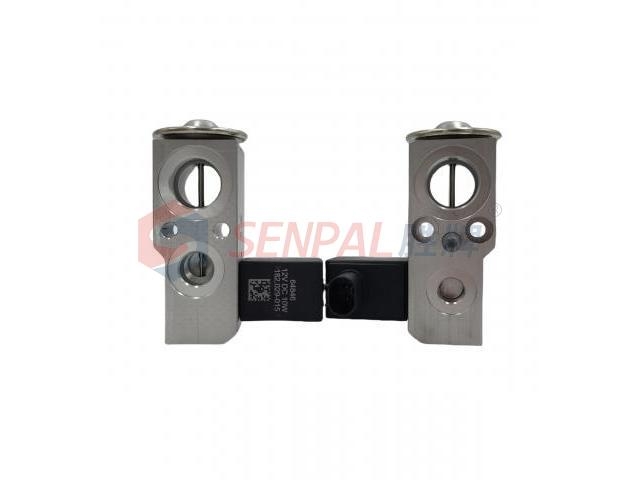 Expansion Valve:2228300584