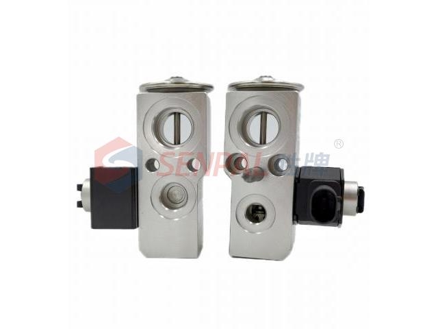 Expansion Valve:A1678309501