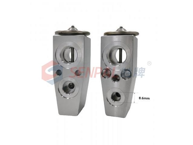 Expansion Valve:DG9Z19849A